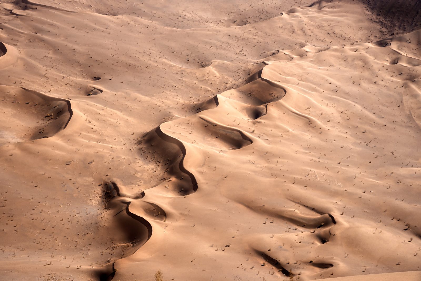 Soft light across a minimal sand dune