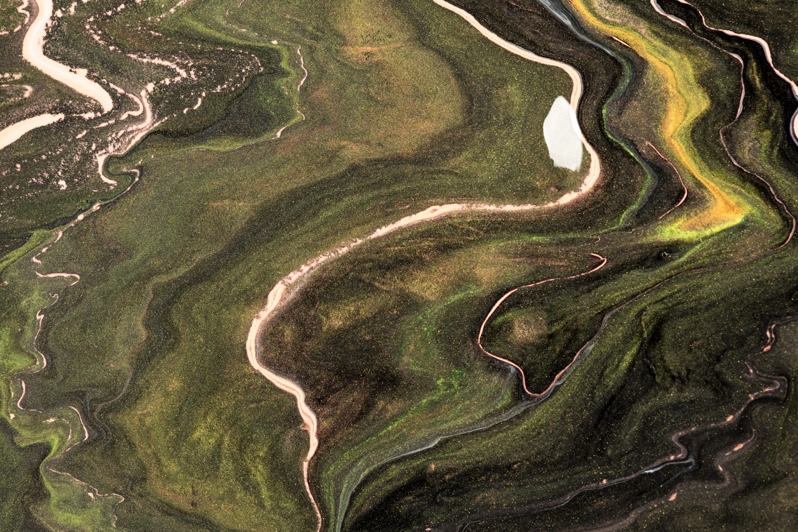 An aerial river delta branching across the land